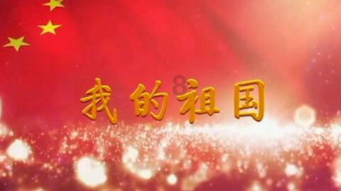 奔驰皮质不合格的车型